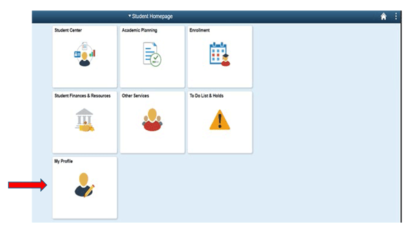 Once you login to Student Home Page, Click on My Profile