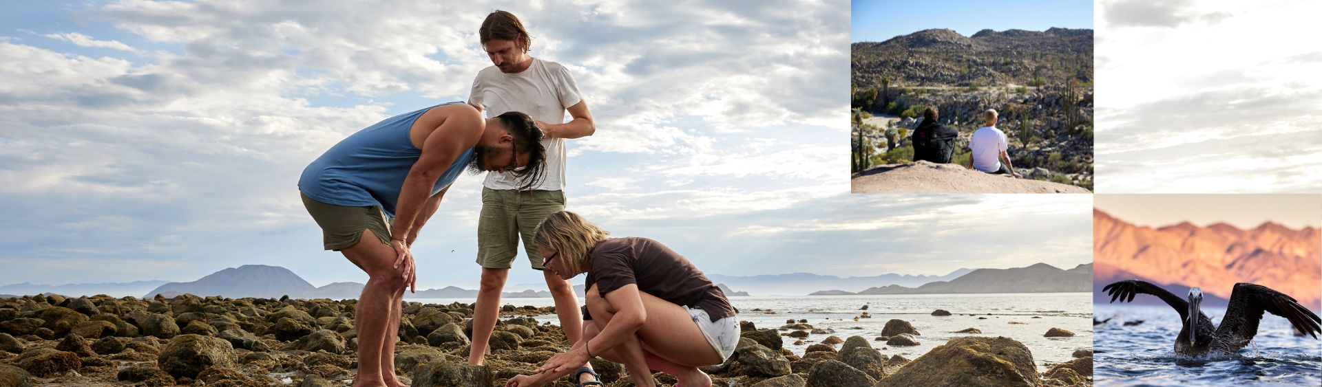 Baja program collage